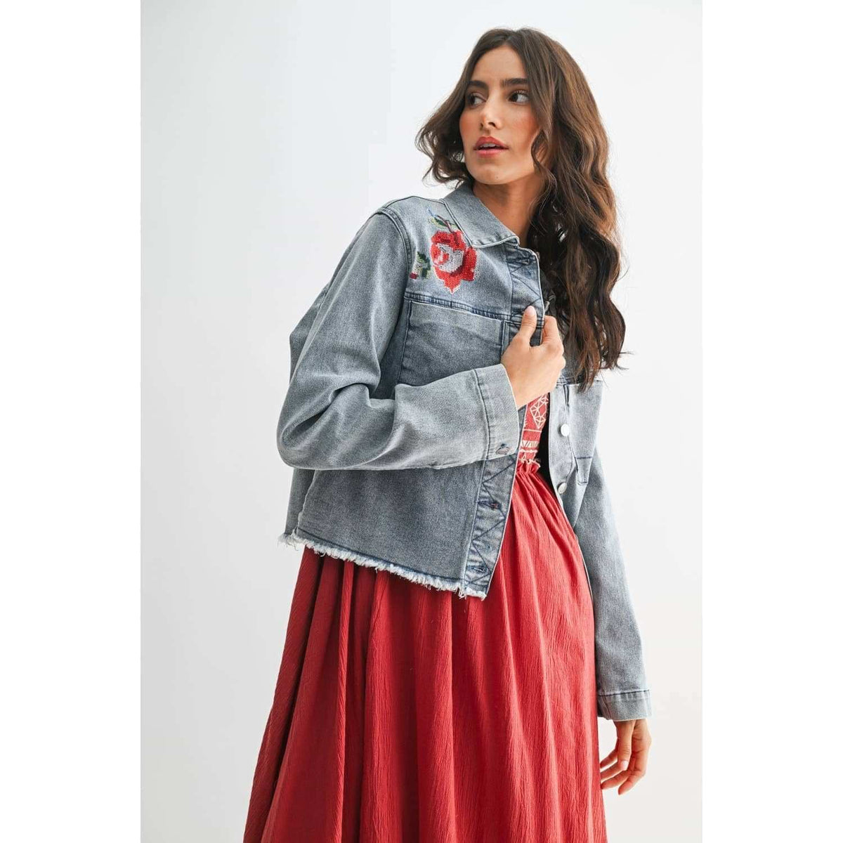 STYLISH EMBROIDERED DENIM JACKET: MEDIUM WASH / S-M-L(3-2-1)